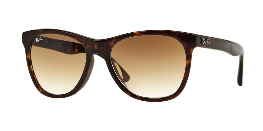 RAY BAN 4184F 90251