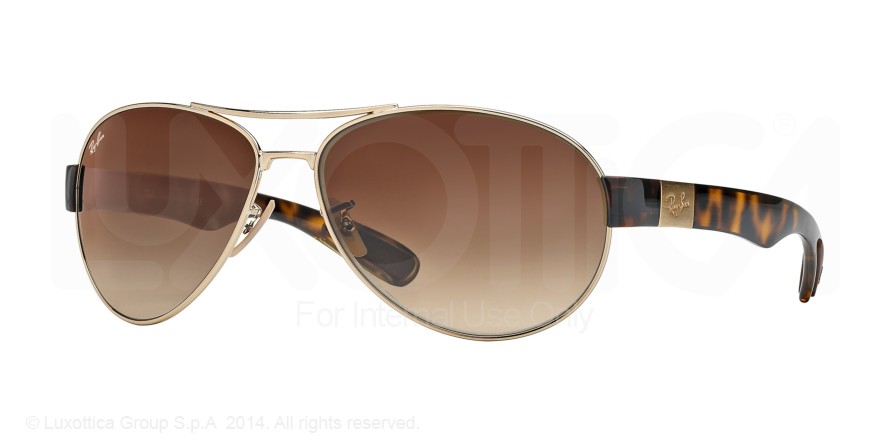 RAY BAN 3509 00113