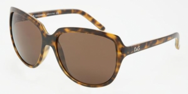 D&G 8069 50273