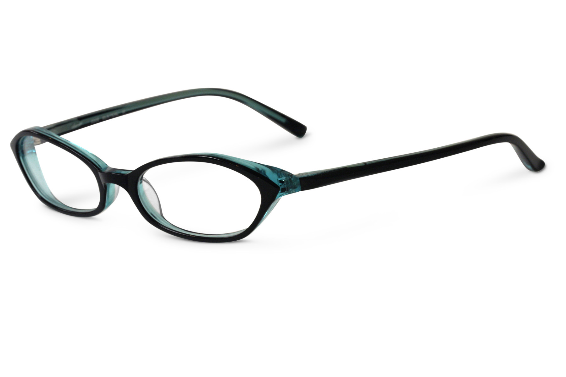 SAMA 2009 BLACKTEAL